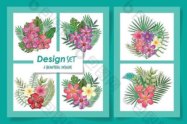 热带花卉和树叶的六种图案