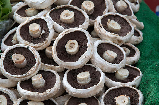 Portabella蘑菇市场背景