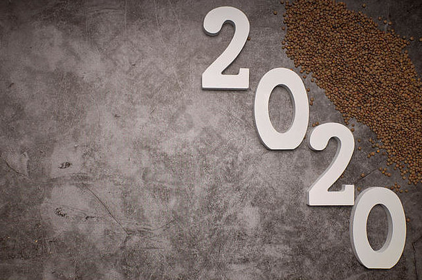 <strong>2020</strong>年新年快乐。编号<strong>2020</strong>的符号和灰色水泥背景上的豆科植物