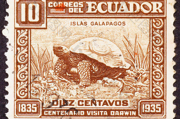 邮资邮票显示巨大的乌龟加拉帕戈斯群岛岛屿