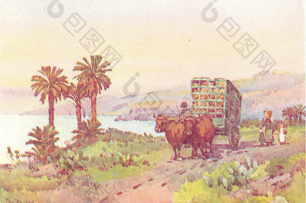 金丝雀岛屿岛屿加那利群岛大加那利岛香蕉车古董打印