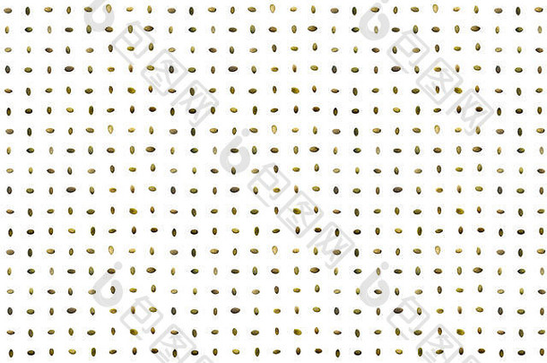 一组南瓜种子水平排列在一个孤立的白色背景上。具有剪切路径。南瓜籽图案