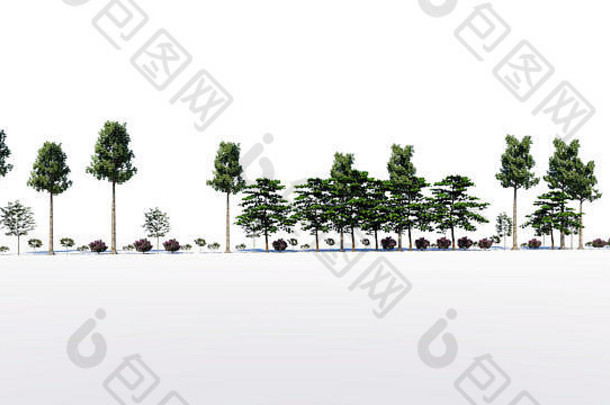 用于建筑背景的一组原始树的3d渲染，使用白色隔离
