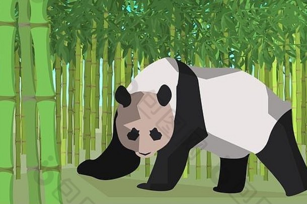 熊猫竹子格罗夫动物自然