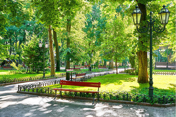 夏季城市公园绿意盎然，阳光明媚，光影明媚，风景秀丽