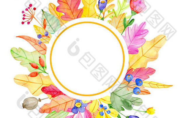水彩秋季花卉圆形旗帜，白色背景上有花朵和树叶。手绘插图