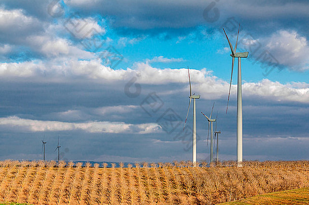 风力发电的麦田景观