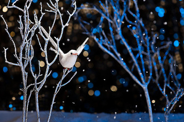冬天有雪的白鸟