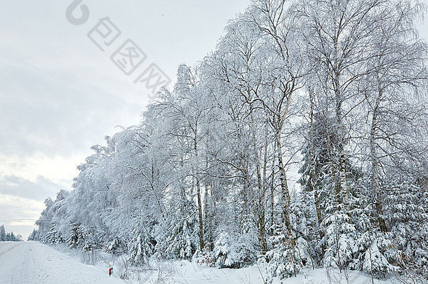 冬天无趣的景观冰雪覆盖的路<strong>树</strong>一边路