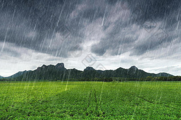 泰国罗布里大山考珍莱的降雨