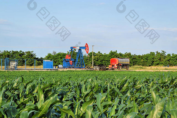 玉米田石油泵-污油技术