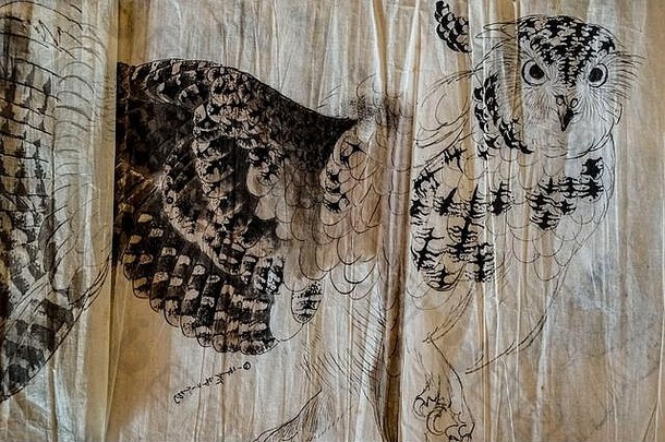 <strong>日本画</strong>家KonoshimaŌkoku的猫头鹰素描，墨水在纸上