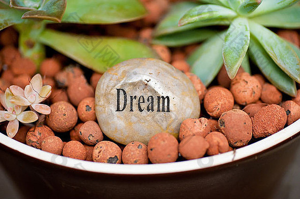冥想花园石：梦想