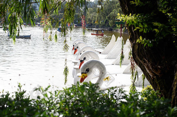 菲律宾碧瑶市伯纳姆公园的天鹅船。