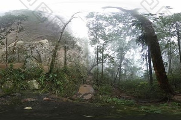 热带高森林覆盖雾多云的一天照片