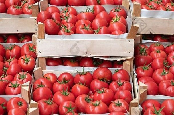 农贸市场上成箱的红色西红柿