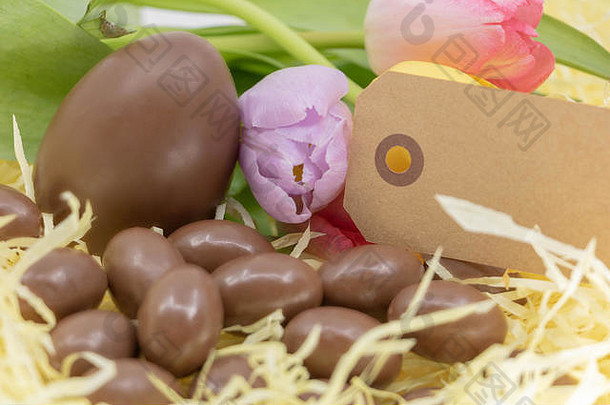 空白标签柔和的彩色的郁金香巧克力鸡蛋复活节春天到来