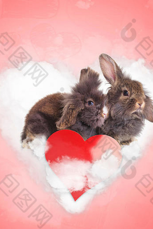 夫妇可爱的小兔子分享爱云情人节一天概念