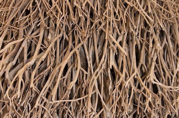 由缠绕的木棍和干燥的树枝组成的墙障，形成了一个木制的自然背景图案。