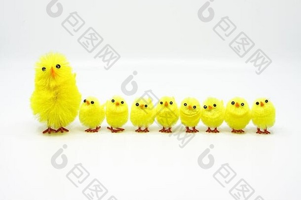 可爱的复活节小鸡们站成一排