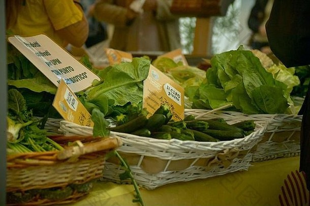 水果蔬菜市场有组织的科尔迪雷蒂运动朋友协会