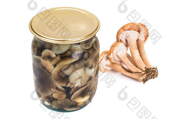 腌制野生蘑菇蜜环菌，蜂蜜木耳，白色