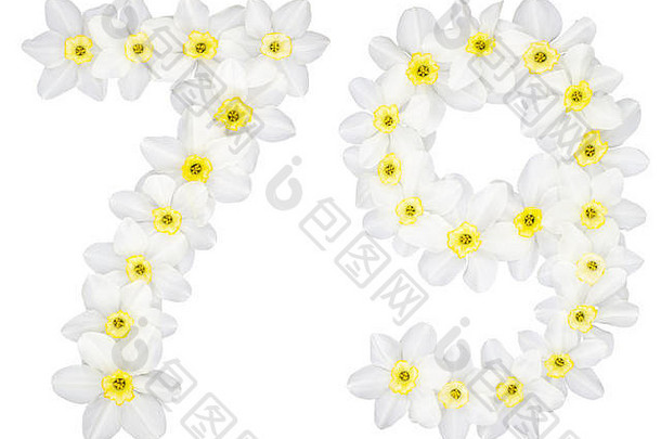 数字79，79，取自水仙（narcissus）的天然白色花朵，在白色背景上分离