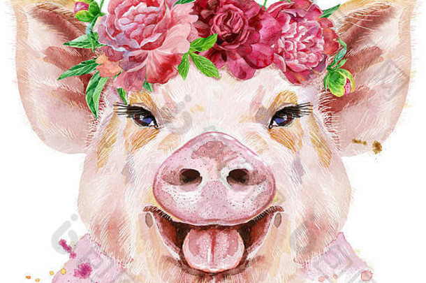 猪的水彩肖像画