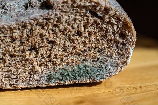 青霉菌模具面包