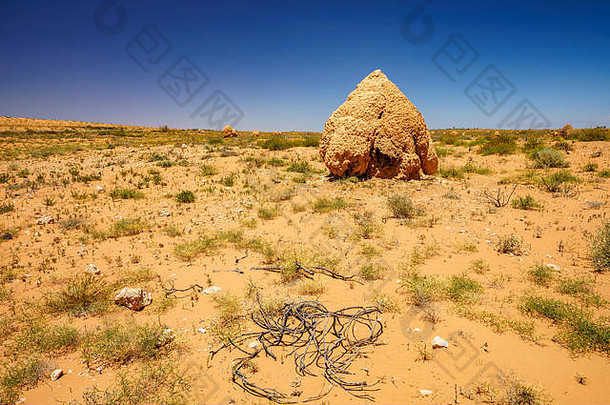 澳大利亚西部沙漠中的许多白蚁丘