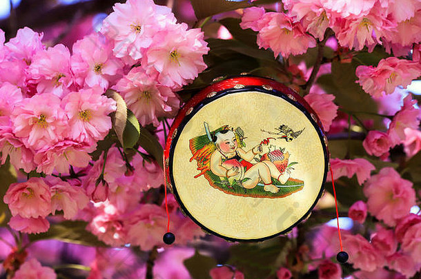 以樱花树为背景的日本鼓，日本，樱花