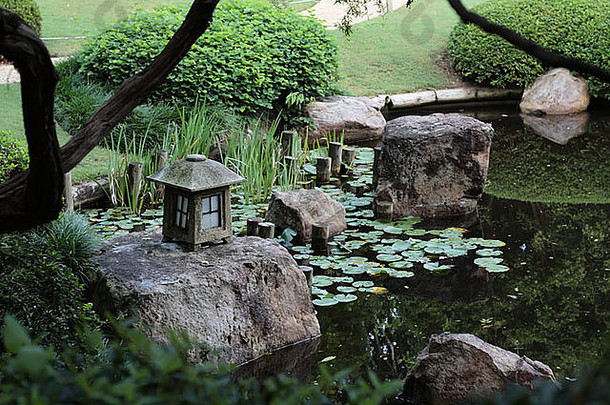 日本池塘