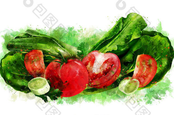 白底番茄、黄瓜和沙拉。水彩插图