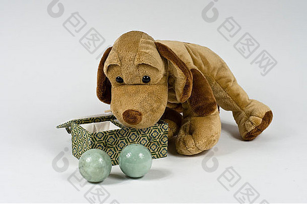 棕色（的）塞玩具狗检查一对子午线培训球使绿色石头