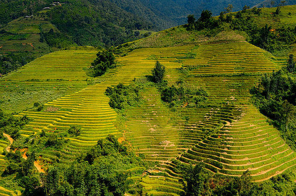 越南北部的自然景观与水稻梯田