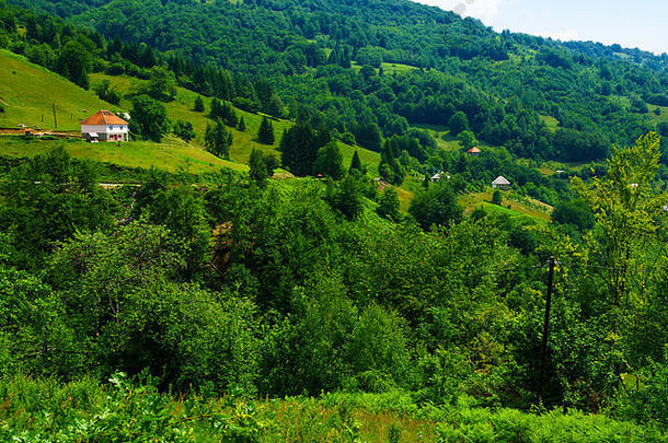 沿着Kolasin-Andrijevica公路的Tresnjevik山口地区的乡村景观。黑山