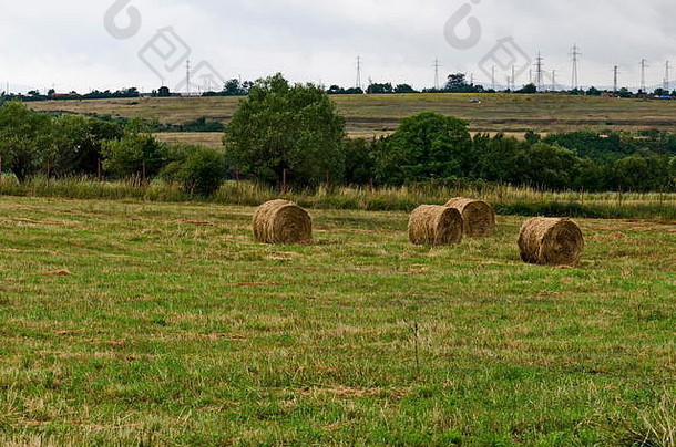 保加利亚杜普尼察镇附近山脉前的稻草田，有圆形干草捆