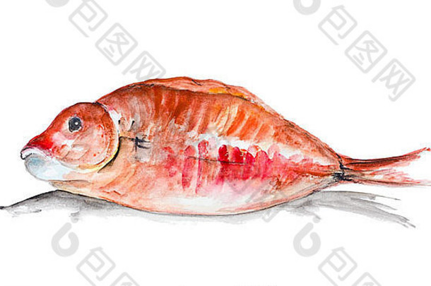 红色石斑鱼躺在桌子上准备烤。白纸艺术上的手工水彩画插图