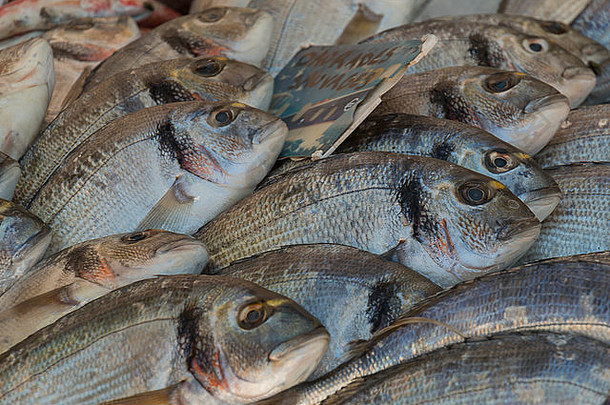 新鲜抓住了鲤科鱼鱼显示出售农民的市场