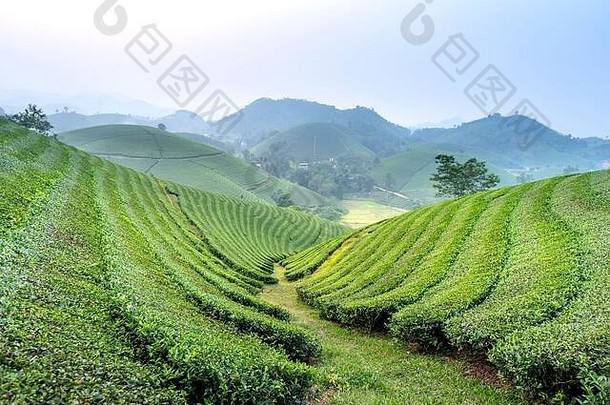 长coc茶山府Tho省越南早期多雾的早....长coc被认为是嘶哑茶山越南