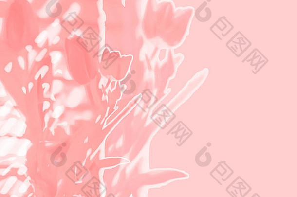 春天郁金香摘要背景软焦点双曝光插图潘通色卡颜色一年生活珊瑚热时尚的颜色