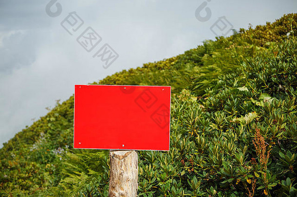 照片植物红色的空白板