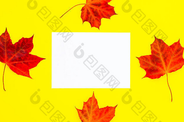 黄色背景上有秋叶的空白纸。