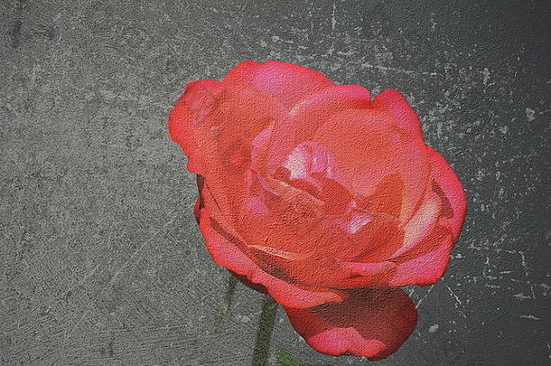 带有抽象爱情符号的纹理画布，在离焦背景上有红玫瑰