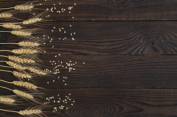 深色木质表面上的小麦穗和麦粒。俯视图