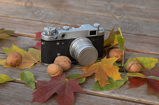 静物画秋天的心情图片与复古测距相机，树叶和坚果的木制背景