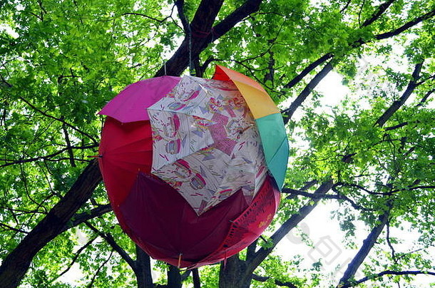树上的一束五颜六色的雨伞
