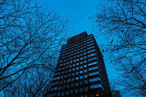 在深蓝色的黄昏天空下，办公楼和光秃秃的树木。