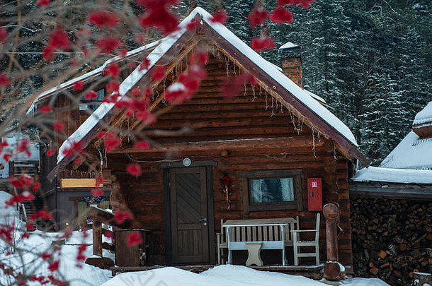 森林中的冬季度假屋。