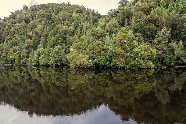 反射森林平静水戈登河塔斯马尼亚澳大利亚电影颜色爽肤水